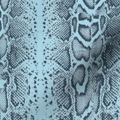 Snake skin blue