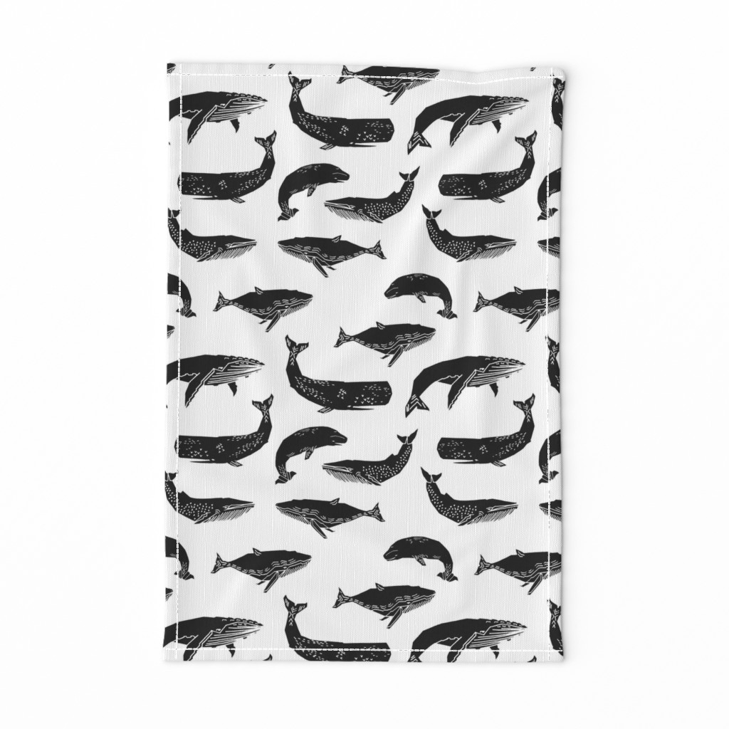 Whales - Black and White by Andrea Lauren 