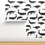 Whales - Black and White by Andrea Lauren 