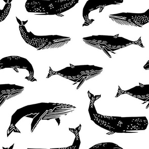 Whales - Black and White by Andrea Lauren 