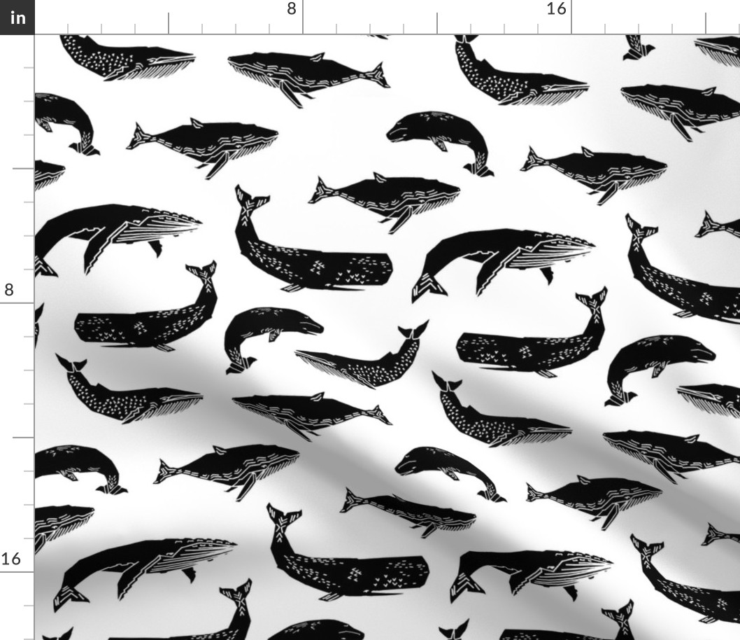 Whales - Black and White by Andrea Lauren 