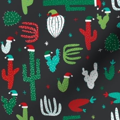 christmas cactus on grey