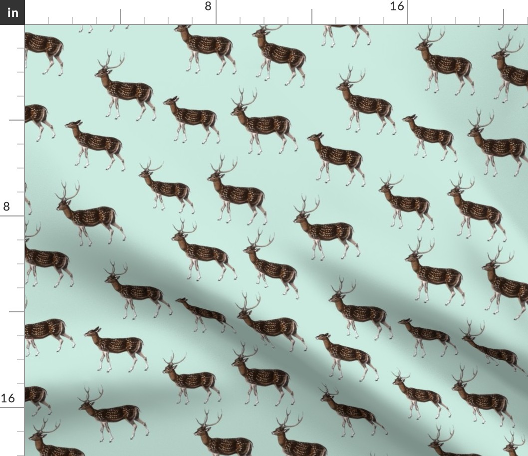 Deer Herd on Seafoam