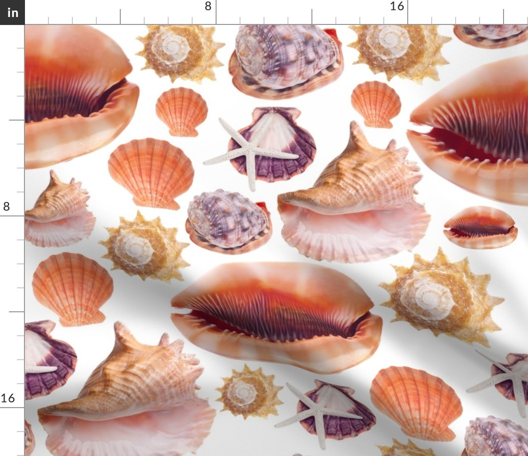Shelly Sells Sea Shells by the Sea Shore
