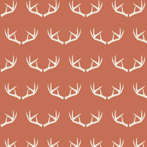 Antlers-Toasted Coral & Cream