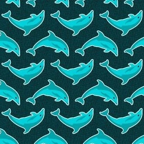 Perth Dolphin