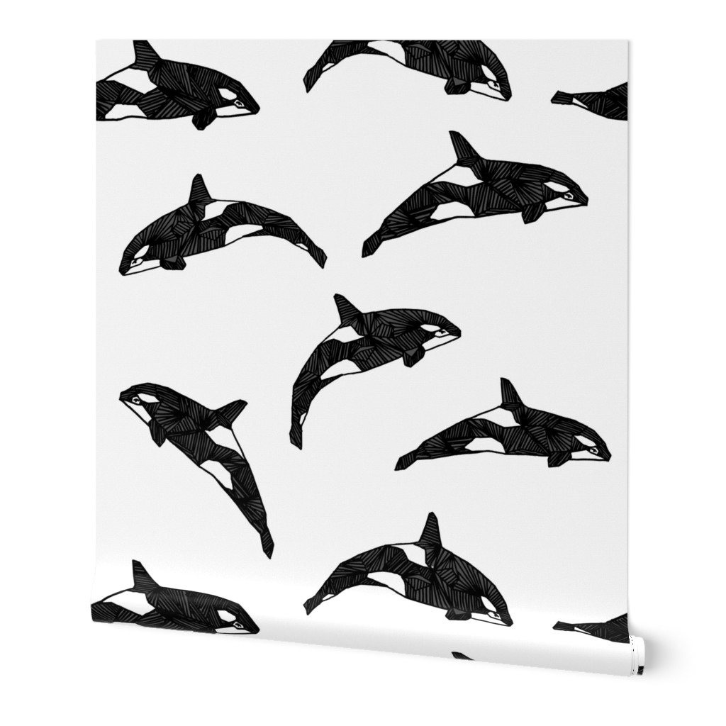 Orca / Killer Whale - Black and White by Andrea Lauren