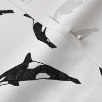 Orca / Killer Whale - Black and White by Andrea Lauren