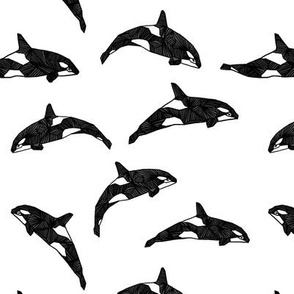 Orca / Killer Whale - Black and White by Andrea Lauren
