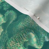 Haeckel Aquatica ~ Coral ~ Watermark 