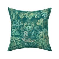 Haeckel Aquatica ~ Coral ~ Watermark 