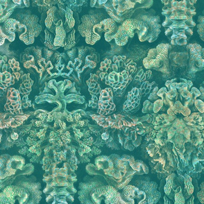 Haeckel Aquatica ~ Coral ~ Watermark 