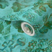 Haeckel Aquatica ~ Coral ~ Mars 