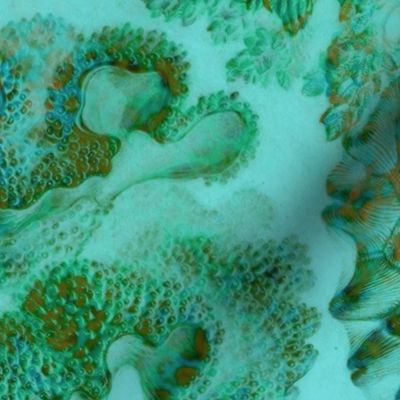 Haeckel Aquatica ~ Coral ~ Mars 