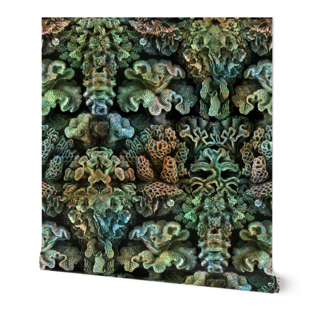 Haeckel Aquatica ~ Coral ~ Ocean Floor  