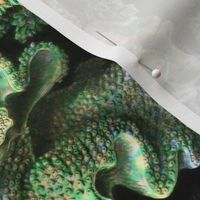 Haeckel Aquatica ~ Coral ~ Ocean Floor  
