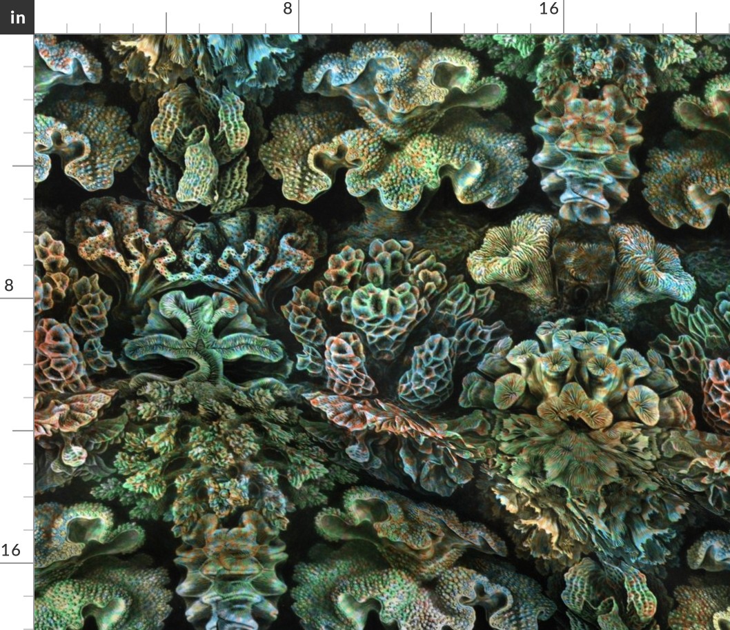 Haeckel Aquatica ~ Coral ~ Ocean Floor  