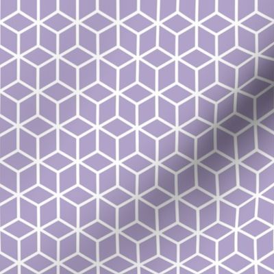 Geometric Framework Lavender