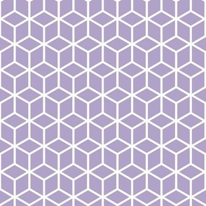 Geometric Framework Lavender