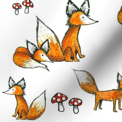 Foxes + Mushrooms