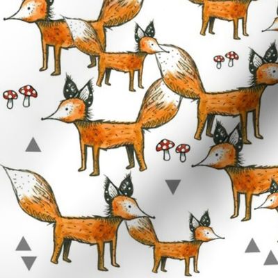 Foxes + Triangles + Mushrooms