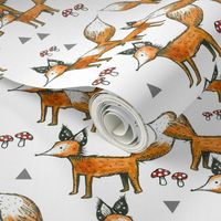 Foxes + Triangles + Mushrooms