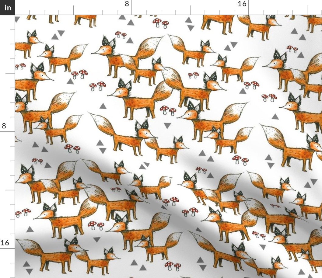 Foxes + Triangles + Mushrooms