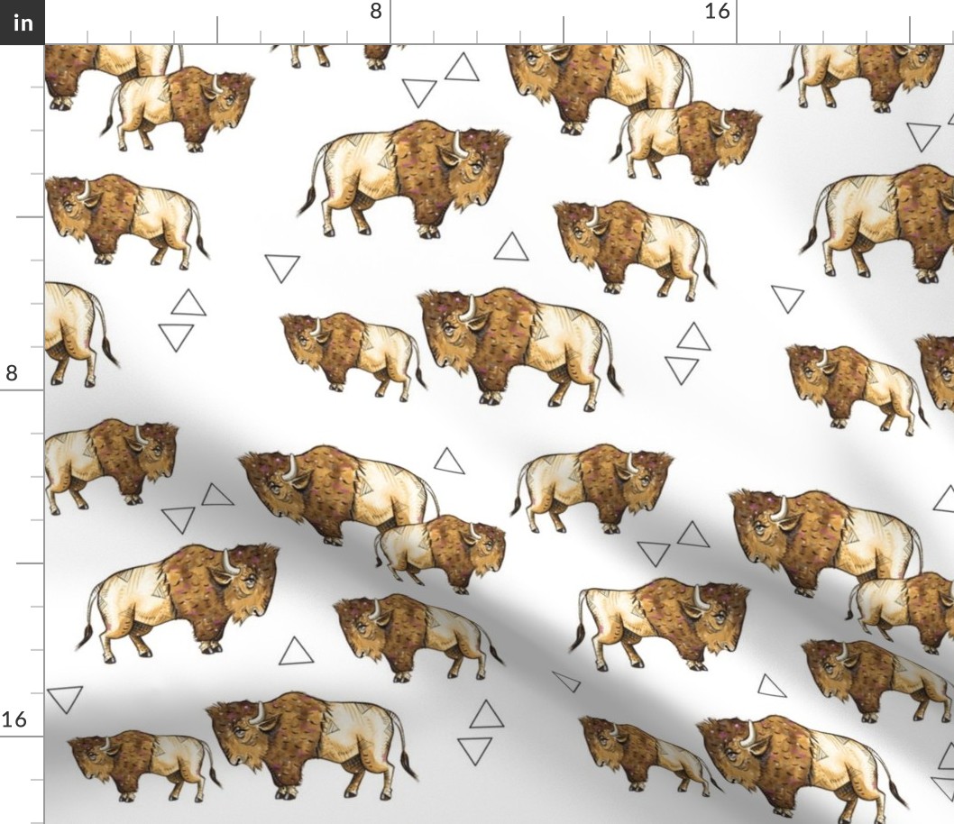 Buffalo + Triangles