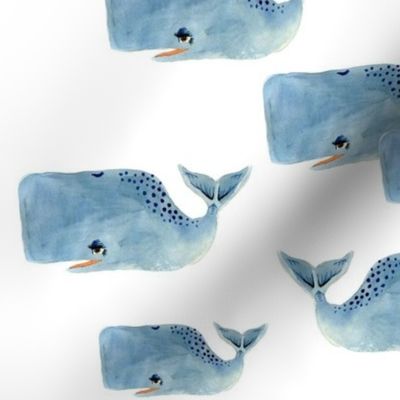 Whale Pod in Blue