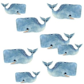 Whale Pod in Blue