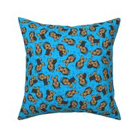 Yorkie Party (Blue)