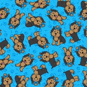 Yorkie Party (Blue)