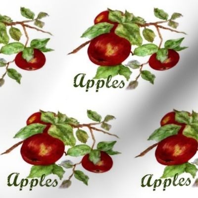 apples 