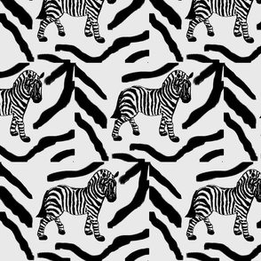 zebra