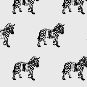 zebra2