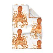 Octopus Oasis in Goldfish Orange