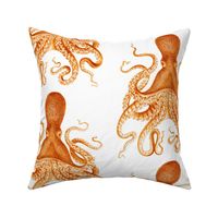 Octopus Oasis in Goldfish Orange