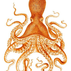 Octopus Oasis in Goldfish Orange