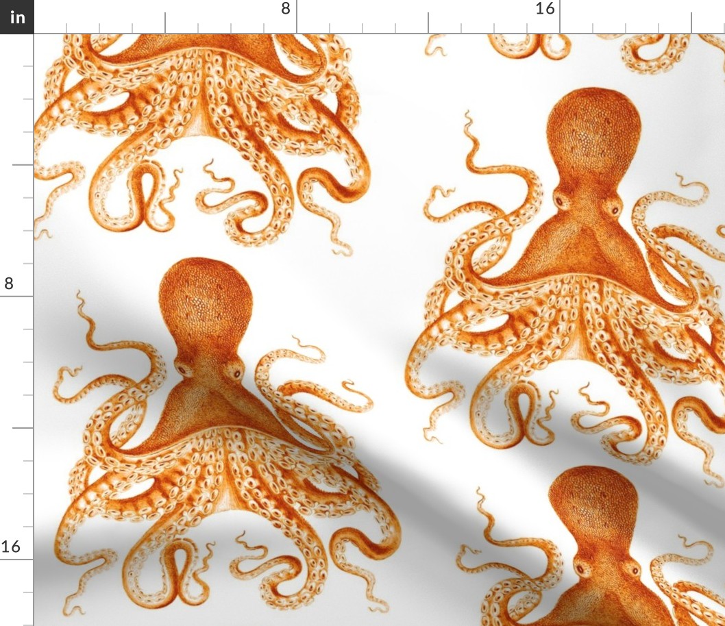 Octopus Oasis in Goldfish Orange