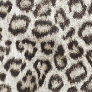 Etosha Snow Leopard