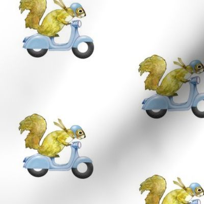 scooter squirrels (blue var.)