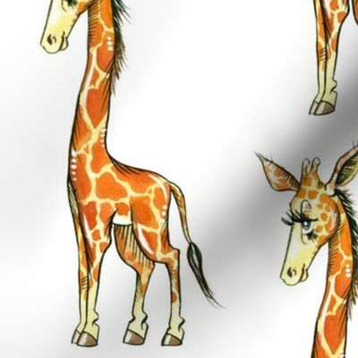 Giraffe!