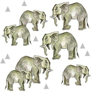 Grey Elephant Herd