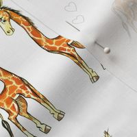 Giraffes and Hearts