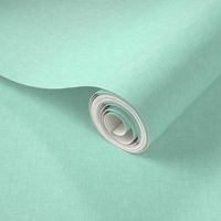Solid Linen in Mint