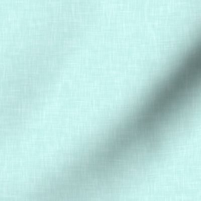 Solid Linen in Light Aqua