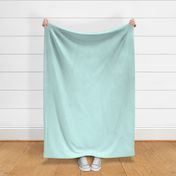 Solid Linen in Light Aqua