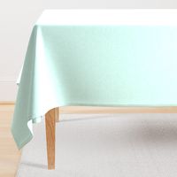 Solid Linen in Light Aqua