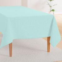 Solid Linen in Light Aqua