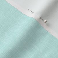 Solid Linen in Light Aqua